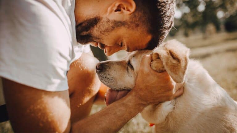 Things to Consider Before Getting a Dog