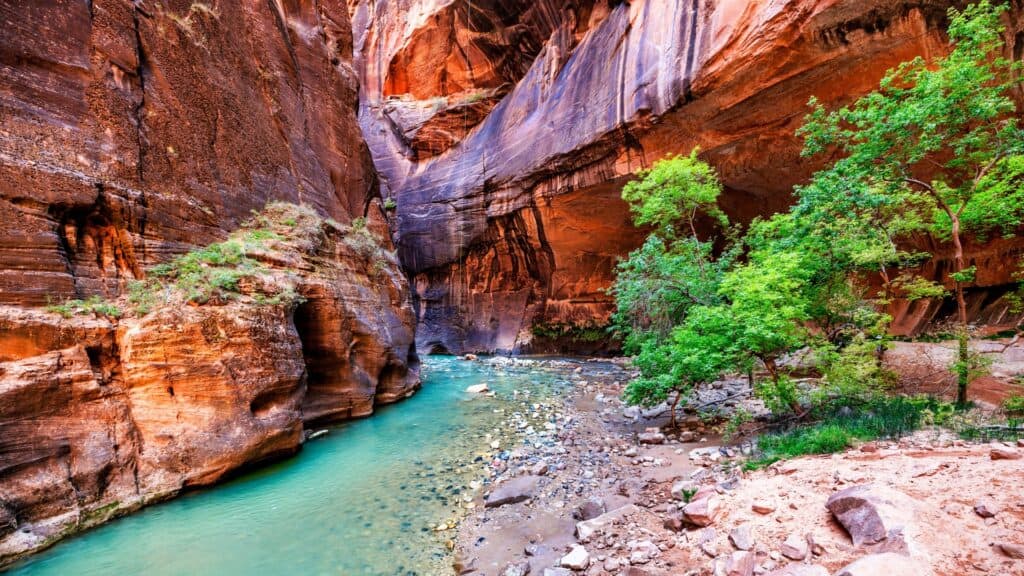 the narrows trail in Zion park, Utah