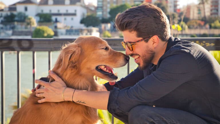 Essential Tips for First-Time Dog Owners