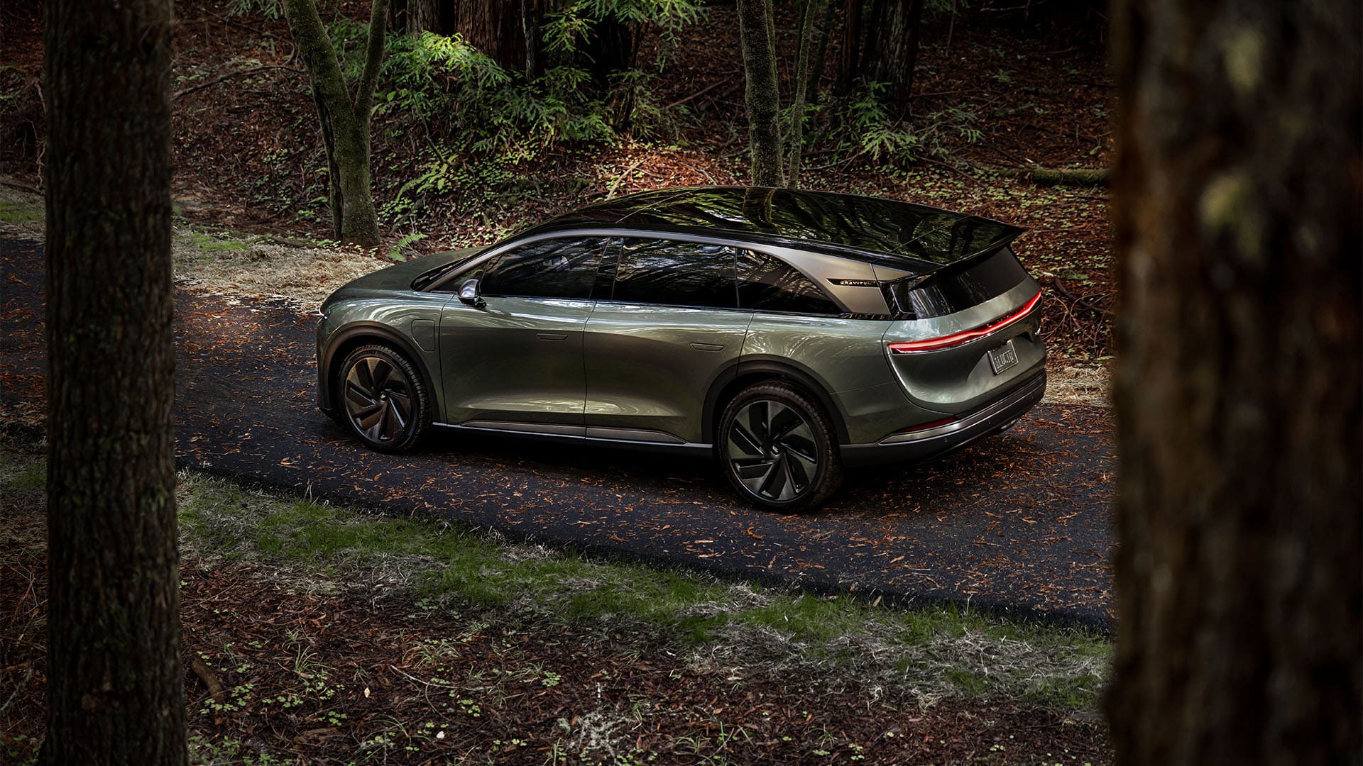 Lucid Gravity in the forest.