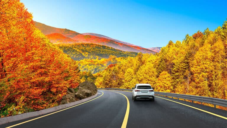 car on a forest road in fall.