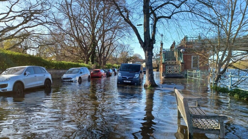 Flooded street with parked cars and trees after heavy rain, water surpassing sidewalk level.