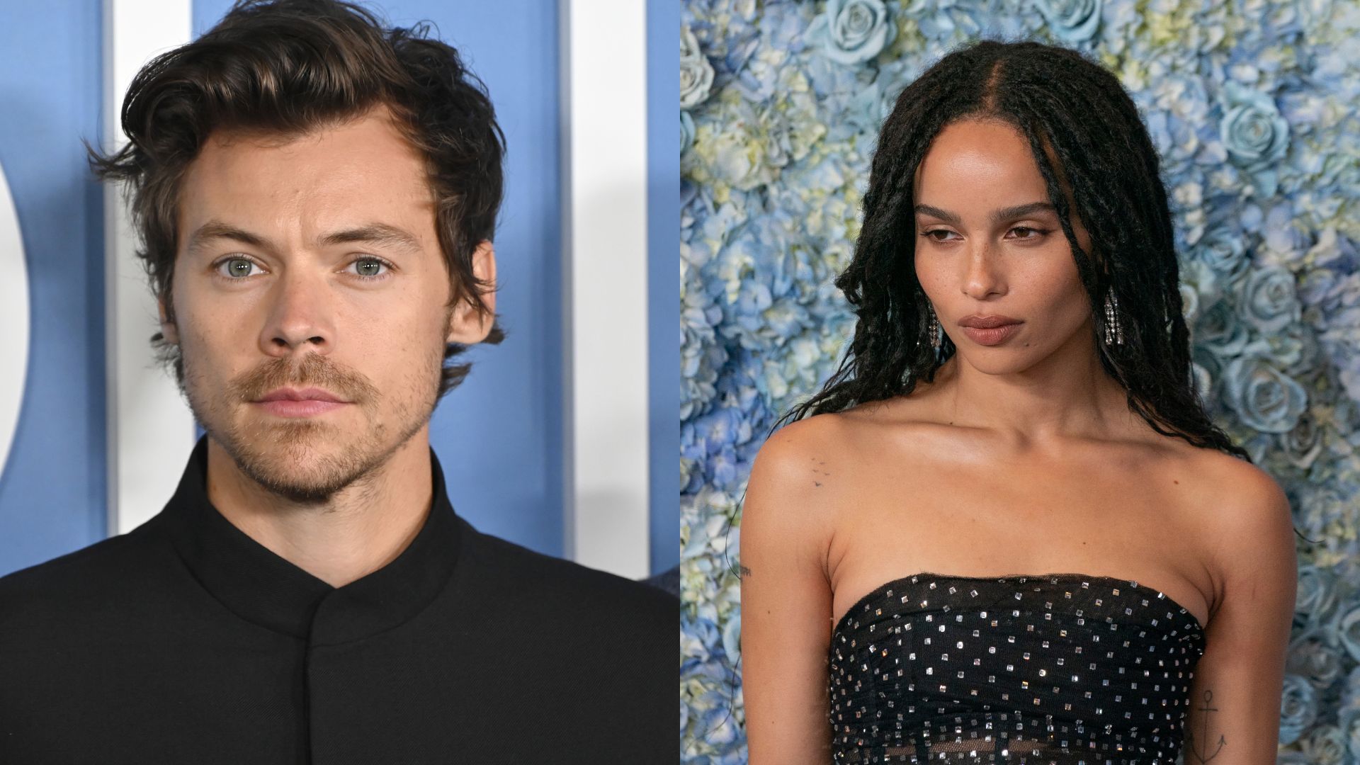 Harry Styles and Zoe Kravitz