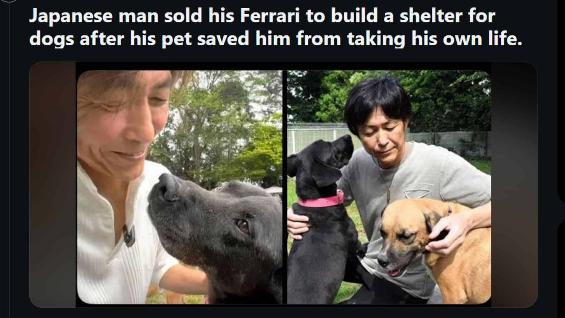 Japanese business man Hirotaka Saito with rescue dogs