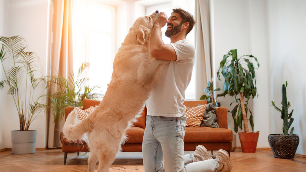 Man playing with a dog