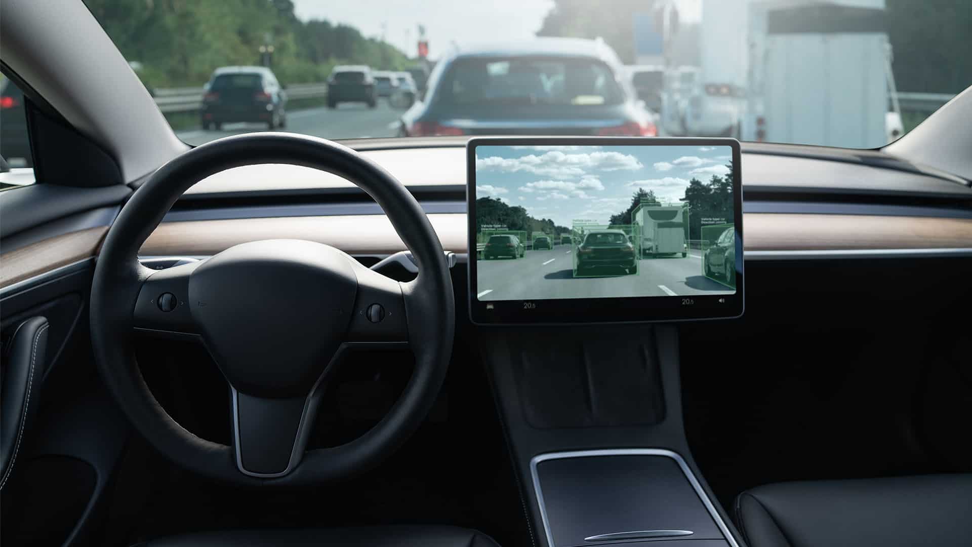 Tesla self driving