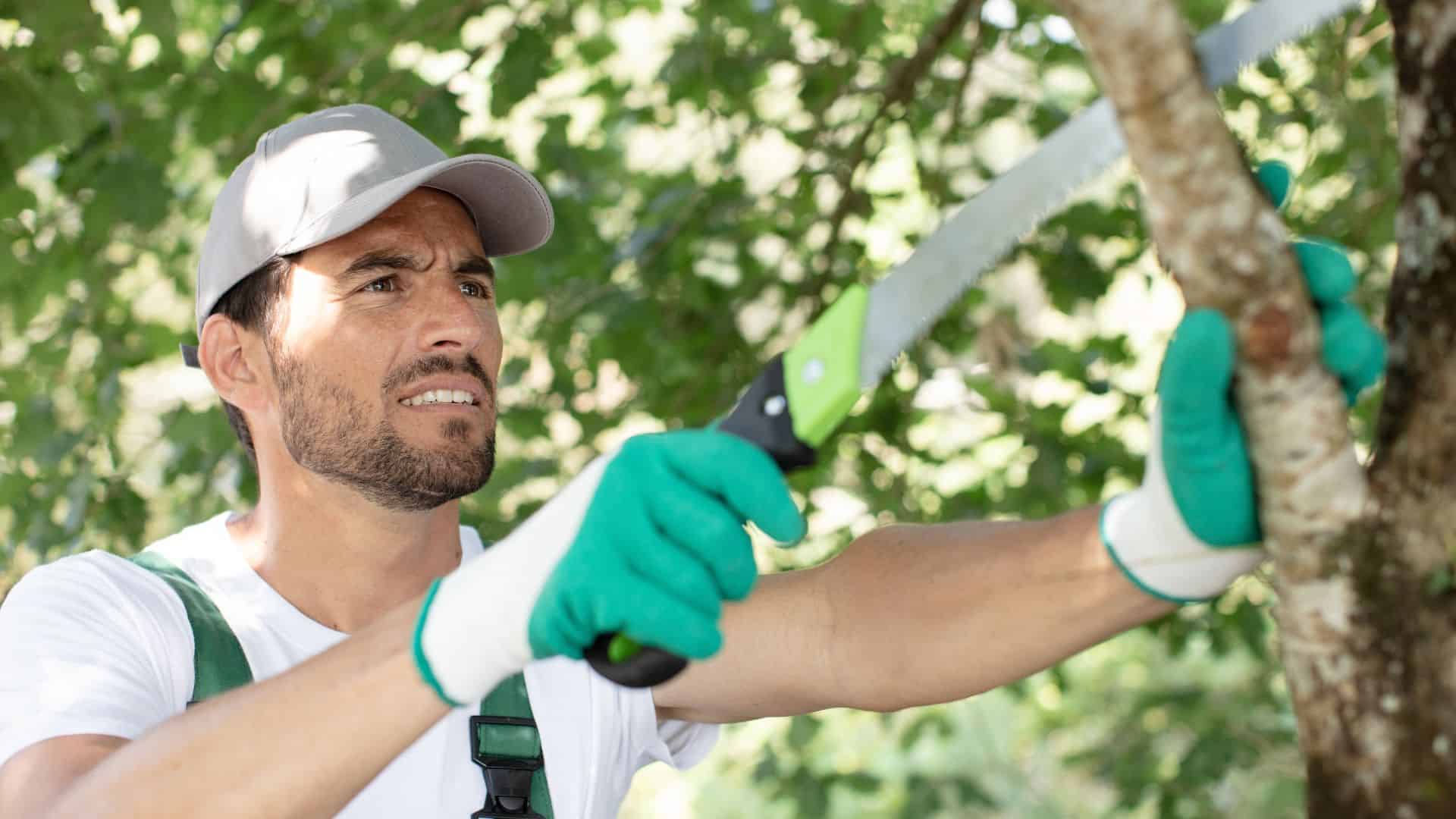 man saws sawing a tree branch
